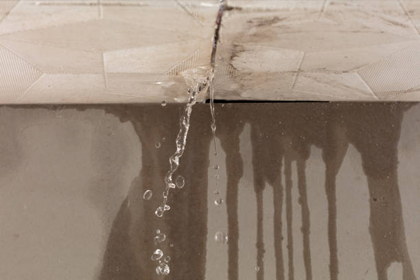 Professional Sewage Cleanup technician working in Carthage, IL